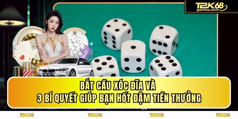 Bắt Cầu Xóc Đĩa Và 3 Bí Quyết Giúp Bạn Hốt Đậm Tiền Thưởng