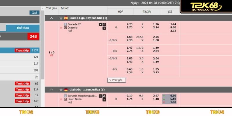 Đặt cược an toàn tại IM